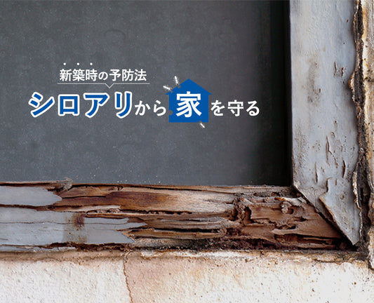 シロアリ被害から家を守る：新築時にできる予防法を紹介