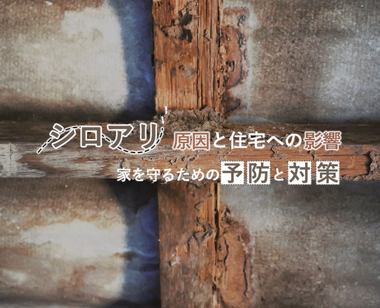 シロアリ被害の発生原因と住宅への影響：家を守るための効果的な予防と対策